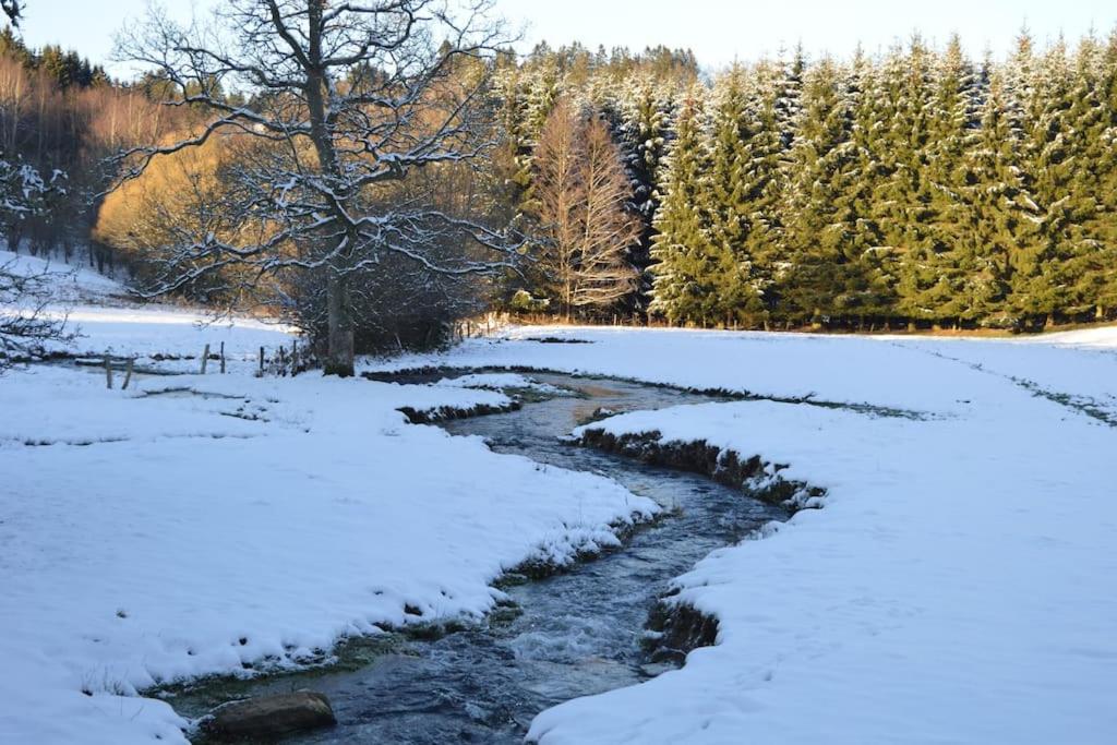 Gite La Forge, Ouvert En 2016. Villa Lierneux Dış mekan fotoğraf