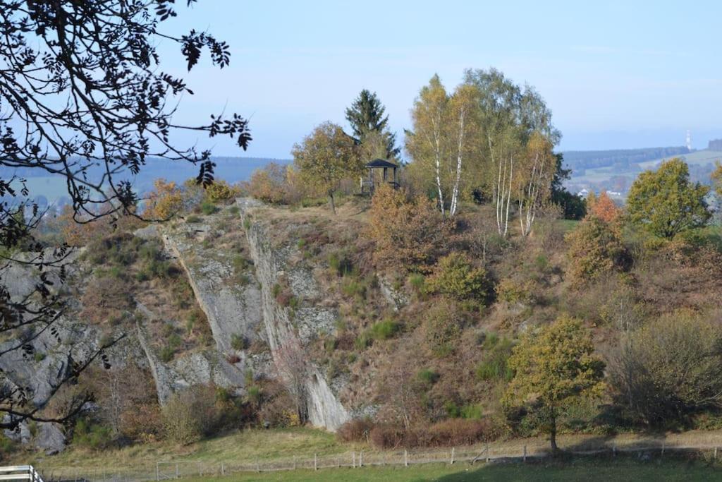 Gite La Forge, Ouvert En 2016. Villa Lierneux Dış mekan fotoğraf