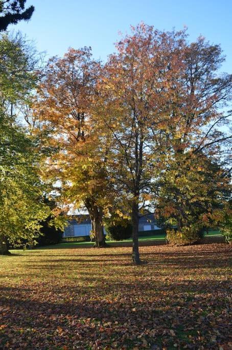 Gite La Forge, Ouvert En 2016. Villa Lierneux Dış mekan fotoğraf