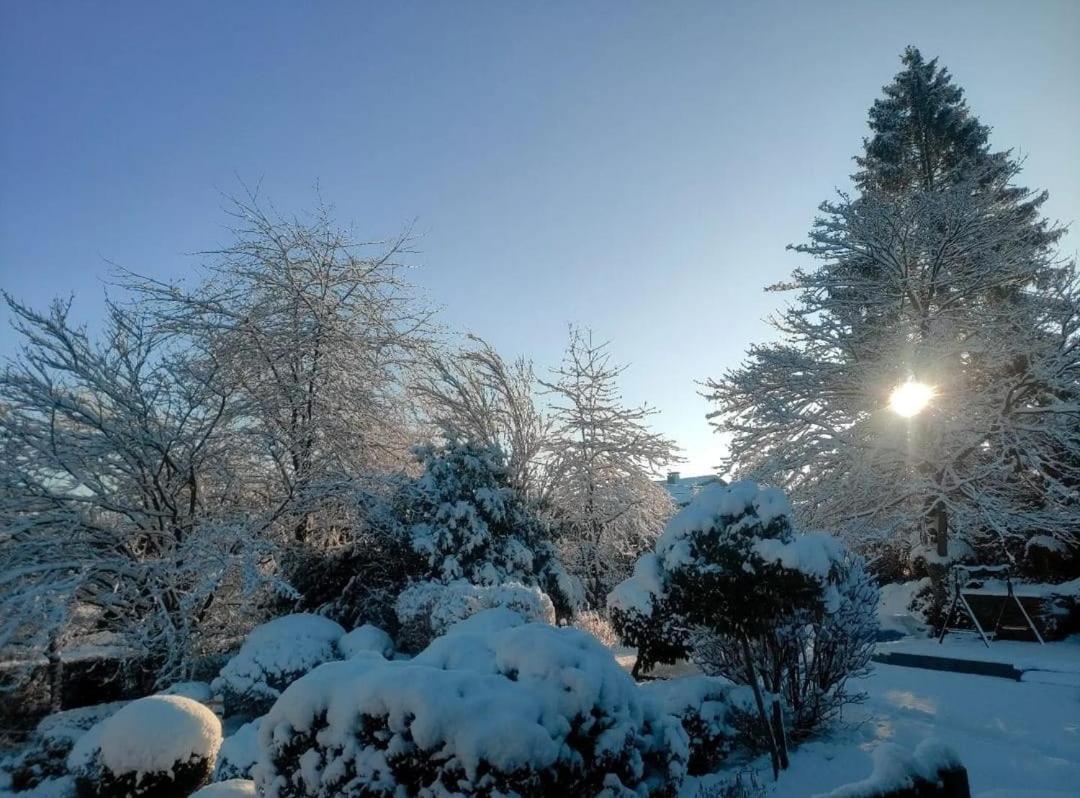 Gite La Forge, Ouvert En 2016. Villa Lierneux Dış mekan fotoğraf