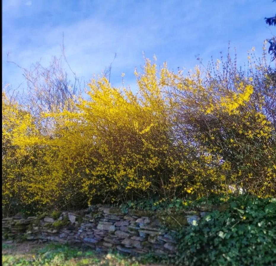 Gite La Forge, Ouvert En 2016. Villa Lierneux Dış mekan fotoğraf